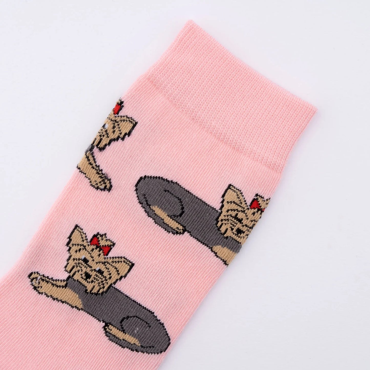 Socks ''Yorkshire Terrier''
