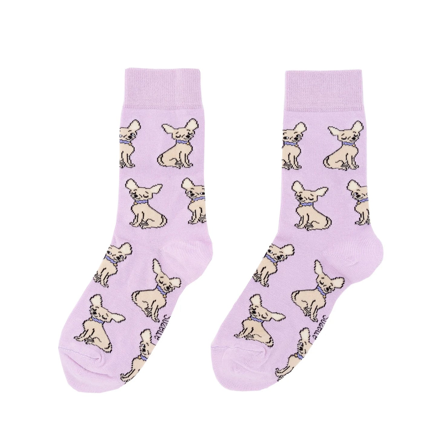 Socks ''Chihuahua''