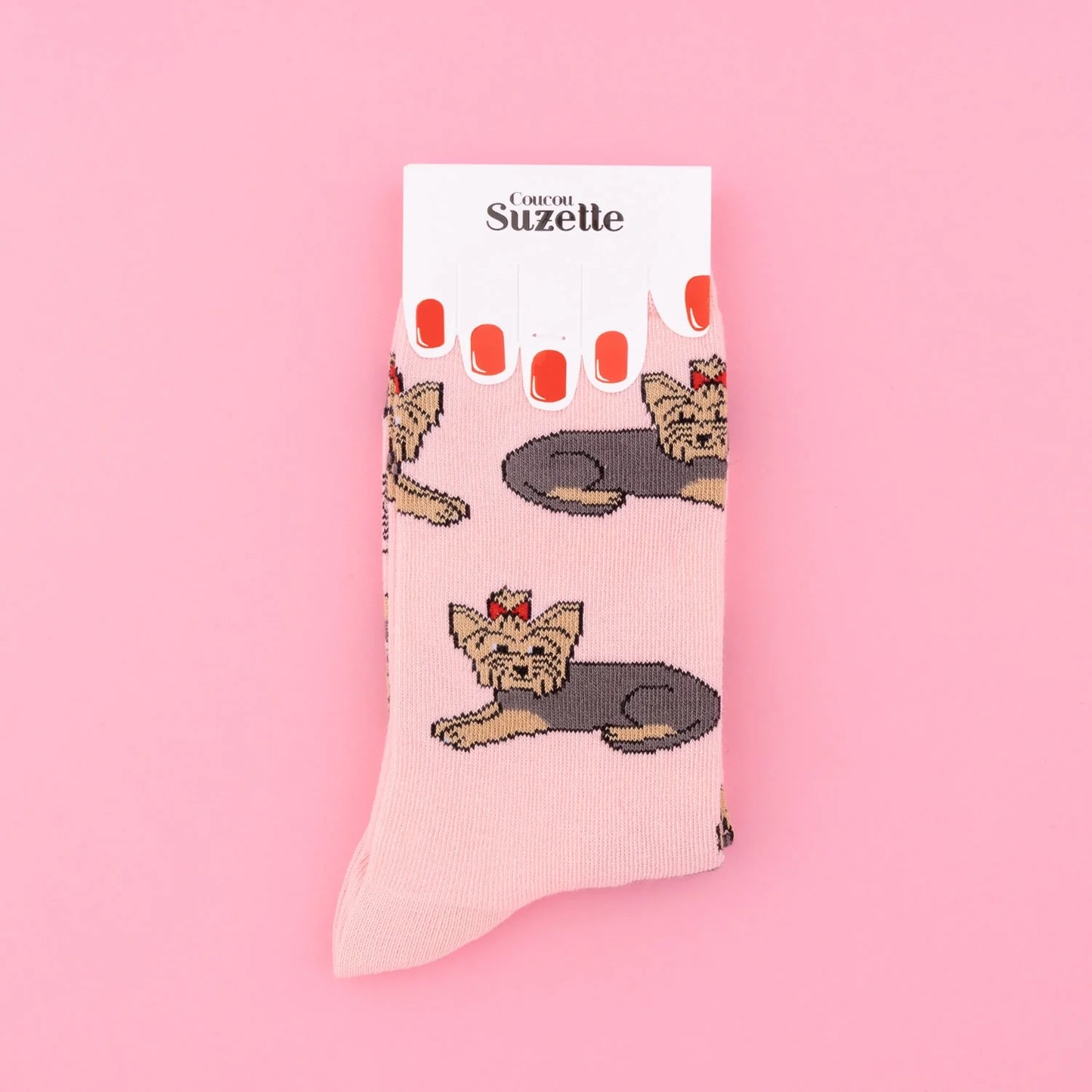 Socks ''Yorkshire Terrier''