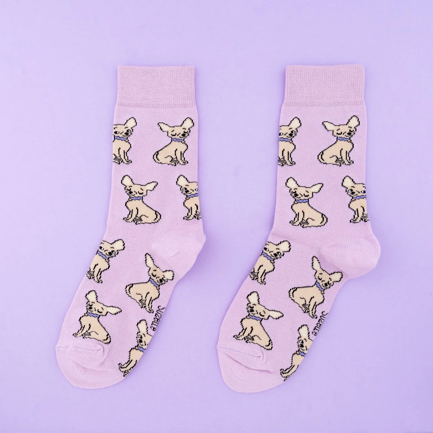 Socks ''Chihuahua''